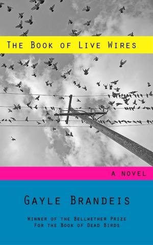 Book cover of The Book of Live Wires