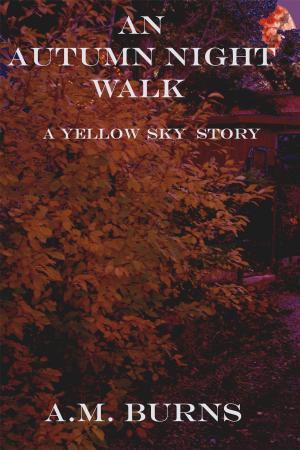 Book cover of An Autumn Night Walk