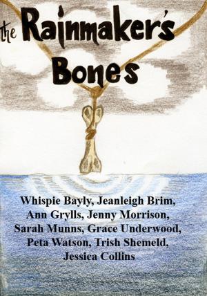 Cover of The Rainmaker's Bones