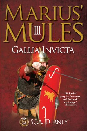 Cover of the book Marius' Mules III: Gallia Invicta by Thom Brucie