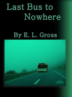bigCover of the book Last Bus to Nowhere by 