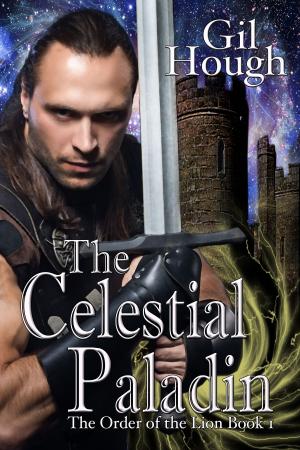 Cover of the book The Celestial Paladin by Tom Liberman