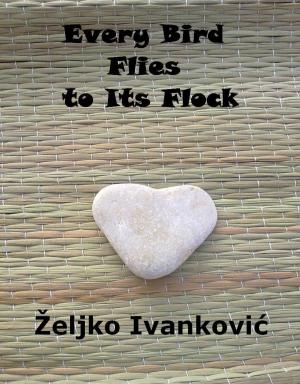 Cover of the book Every Bird Flies to Its Flock by Jagoda Ilicic