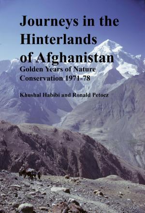 Cover of the book Journeys in the Hinterlands of Afghanistan by Hudson Benjamin