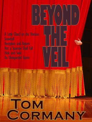 Cover of the book Beyond the Veil by Lucille Bellucci