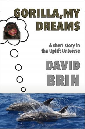 Book cover of Gorilla, My Dreams