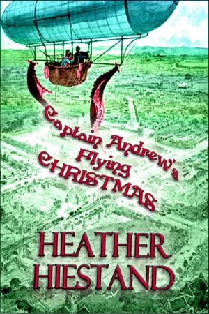 Cover of the book Captain Andrew's Flying Christmas by May McGoldrick