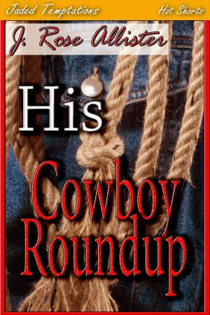 Cover of the book His Cowboy Roundup by Elizabeth Stacy