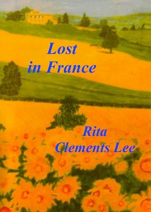 Book cover of Lost in France