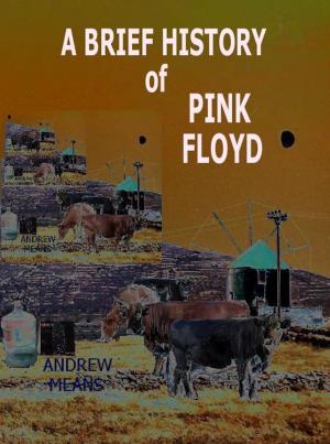 Book cover of A Brief History Of Pink Floyd