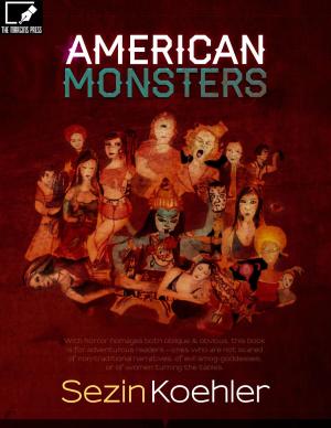 Cover of the book American Monsters by CIndy Hutchins