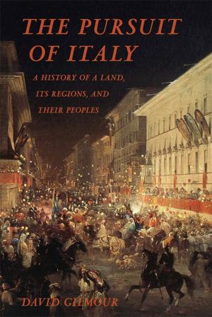 Cover of the book The Pursuit of Italy by Timothy J. Henderson