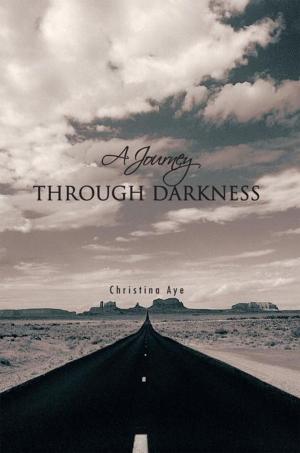 Cover of the book A Journey Through Darkness by Elizabeth Baroody aka Christy Demaine