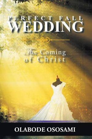 Cover of the book Perfect Fall Wedding by Fraser Scott