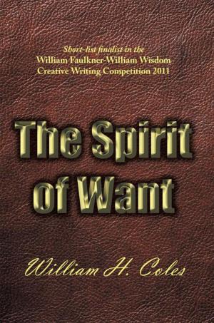 Cover of the book The Spirit of Want by Kurt B. Bakley