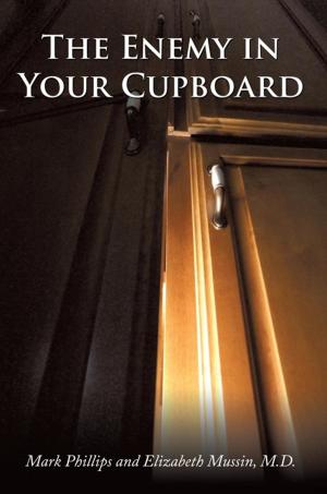 Cover of the book The Enemy in Your Cupboard by Michael J. Heitzler Ed. D., Jennie Haskell Rose