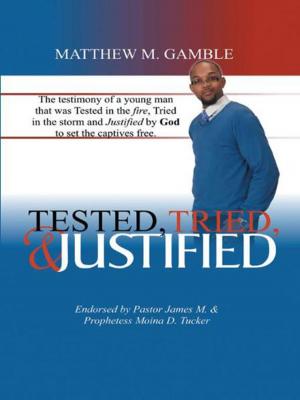 Cover of the book Tested, Tried and Justified by Donna L. Ritch