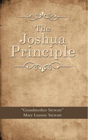 Cover of the book The Joshua Principle by DIXION RWAKASYAGURI