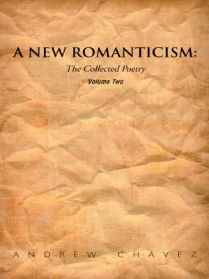 bigCover of the book A New Romanticism by 