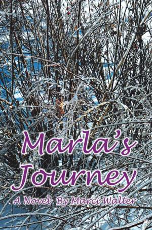 Cover of the book Marla's Journey by Barbara Bryant
