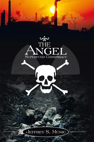 Cover of the book The Angel Superfund Conspiracy by K.V. Anglin