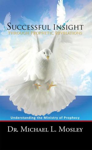 Cover of the book Successful Insight Through Prophetic Revelations by Sherry L. Meinberg
