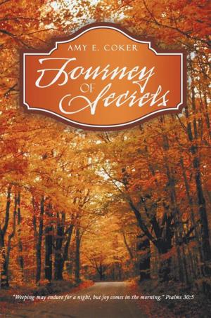 Book cover of Journey of Secrets