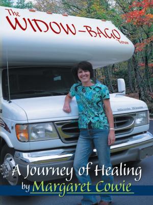 Cover of the book The Widow-Bago Tour by Todd Daley