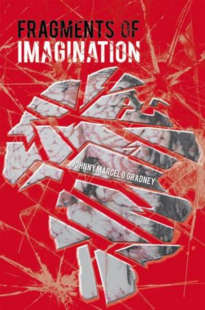 Cover of the book Fragments of Imagination by Ashraf Jafri