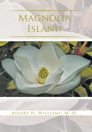Book cover of Magnolia Island