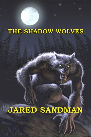 Cover of the book The Shadow Wolves by Jason Tipple