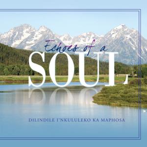 Cover of the book Echoes of a Soul by Tamara