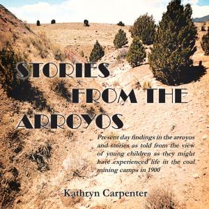 Cover of the book Stories from the Arroyos by Andrew G. Robbins