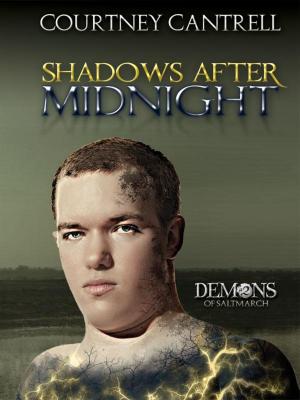Book cover of Shadows after Midnight