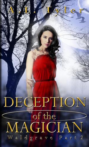 Book cover of Deception of the Magician