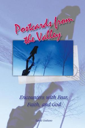Cover of Postcards from the Valley: Encounters with Faith, Fear and God