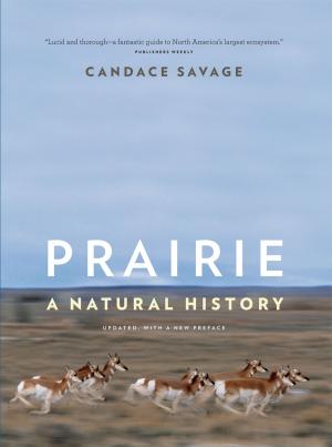 Cover of the book Prairie by Holly Dressel, David Suzuki