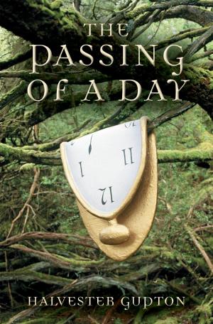 Cover of The Passing of a Day
