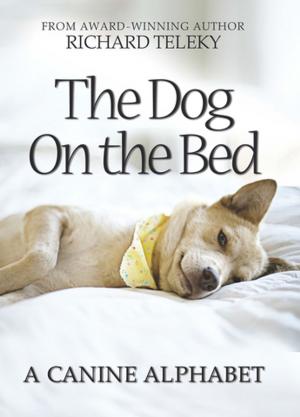 Cover of the book The Dog on the Bed by Valerie Sherrard