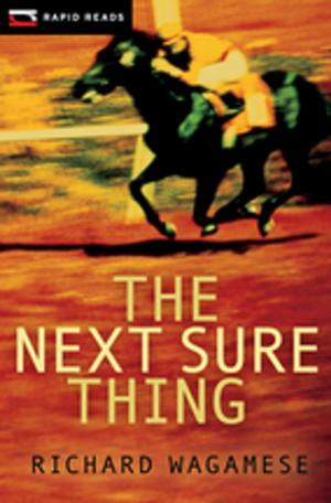 Cover of the book The Next Sure Thing by Elizabeth Wennick