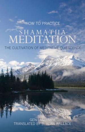 Cover of the book How to Practice Shamatha Meditation by Dzigar Kongtrul