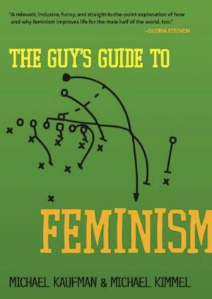 Book cover of The Guy's Guide to Feminism