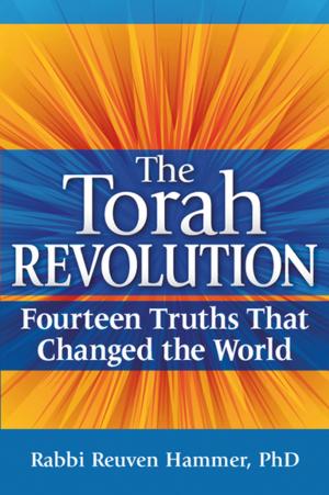 Book cover of The Torah Revolution