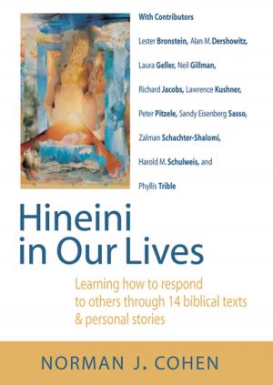 Cover of the book Hineini in Our Lives by Dr. Norman J. Cohen