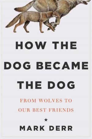 Cover of the book How the Dog Became the Dog by Eric W. Sanderson