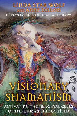 bigCover of the book Visionary Shamanism by 