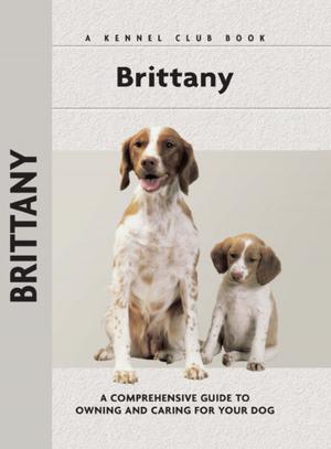 bigCover of the book Brittany by 