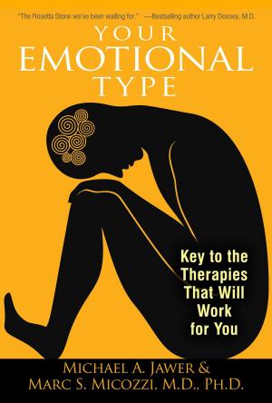Cover of the book Your Emotional Type by Sonja Y. Larsen