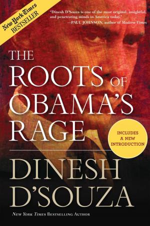 Book cover of The Roots of Obama's Rage