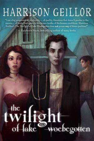 Cover of the book The Twilight of Lake Woebegotten by Phil Foglio, Kaja Foglio